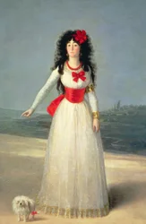 The Duchess of Alba, 1795